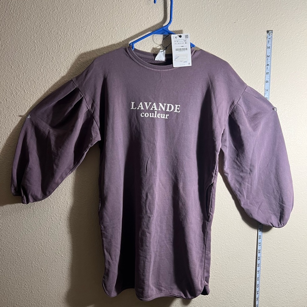 Zara Mauve Sweatshirt Dress